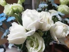 -循礼门鲜花花市(武汉循礼门店)