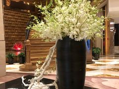 -西安赛瑞喜来登大酒店