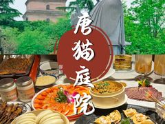 -唐猫庭院·千年陕菜(大唐不夜城店)