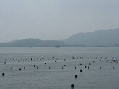 -杭州湖滨银泰in77