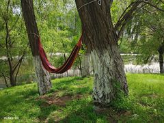 -长白岛森林公园