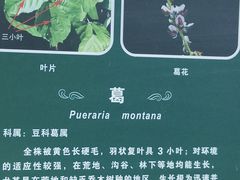 -福道