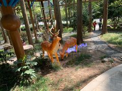 -东明山森林公园