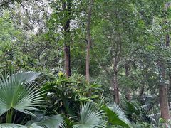 -成都市活水公园