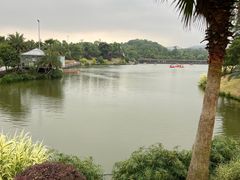 -枫香湖儿童公园