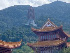 -深圳仙湖植物园