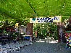 -绿光森林餐厅