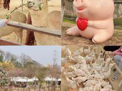 -盈香心动乐园