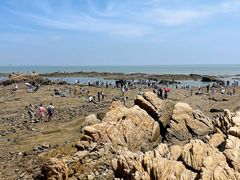 -巧克力渔家.小船海鲜胶东菜(万平口店)