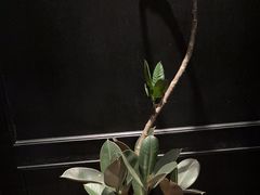 -逸馥荟(人广来福士店)