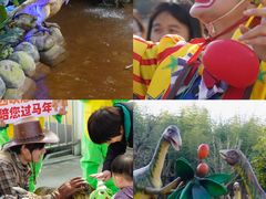-中国西峡恐龙遗迹园