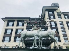 -鹭江潮餐厅•福建菜(鹭江佲家酒店)