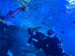 -太平洋海底世界