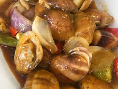蛤蜊-ZF Seafood Restaurant 卓峰海鲜餐