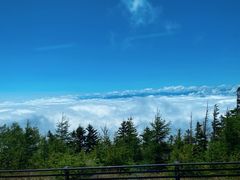 -富士山吉田線五合目