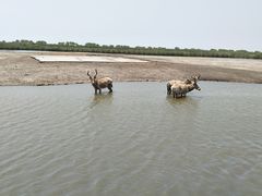 -宁波杭州湾国家湿地公园