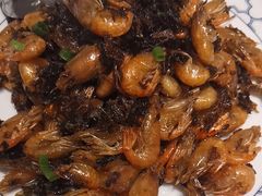 -新吉士·上海菜(浦东LCM置汇旭辉店)