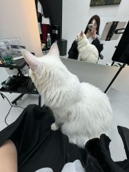 -熙.Hair 丨专注女子中长发丨