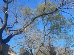 -春晖园度假酒店温泉