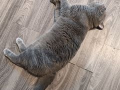 -第三空间·趣味桌游·轰趴.室内CS.剧本杀(大武汉1911店)