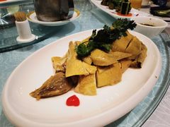 特色水晶鸡-金米箩大酒店(五角场店)