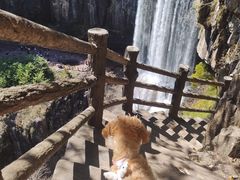 -刘伯温故里景区百丈漈