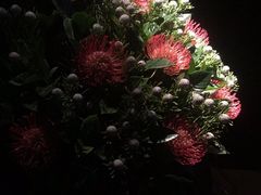 -花马天堂云南餐厅 Lost Heaven(高邮路店)