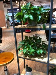 -曼都发型·臻选