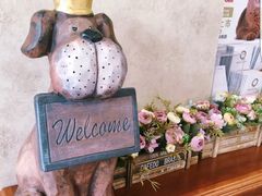 -宠爱国际动物医院· 猫科· 外科·中兽医(长白店)