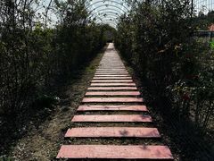 -嘉北郊野公园
