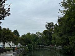 -桂湖森林公园