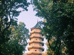-灵谷景区