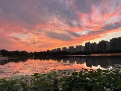 -南翔镇银翔湖公园