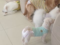 -怪兽屋·羊驼·猫咖·狗咖(俊华广场店)