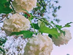 -北京奥林匹克公园