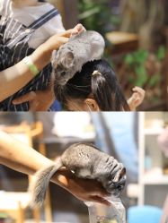 -酷嗒动物文化乐园(cutezoo西溪乐天城店)