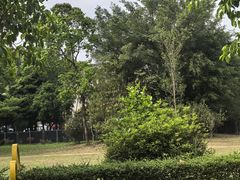 -滴水岩森林公园