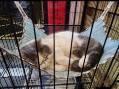 -四季暖堂·融合江浙菜(N1955创业园店)