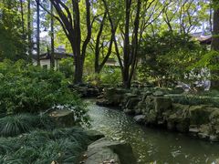 -上海醉白池公园