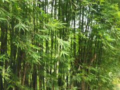 景点-飞天山旅游区