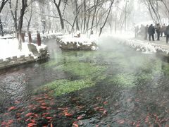 android_upload_pic-水磨沟公园