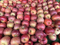 -南坛综合农贸市场