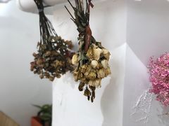 -洪小凡(钱塘明月店)