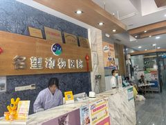 -瑞派名望志远动物医院·猫科·內科·异宠专科(直港大道店)