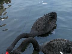 -南京圣和府邸豪华精选酒店