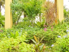 -白石龙音乐公园