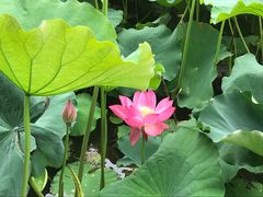 -韶山毛泽东同志故居