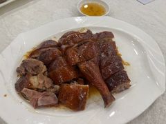 烧鹅-姚林轩