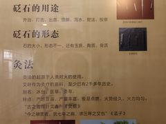 -广东中医药博物馆