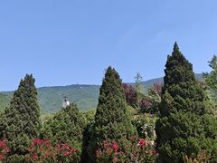 -北京十三陵国家森林公园蟒山景区